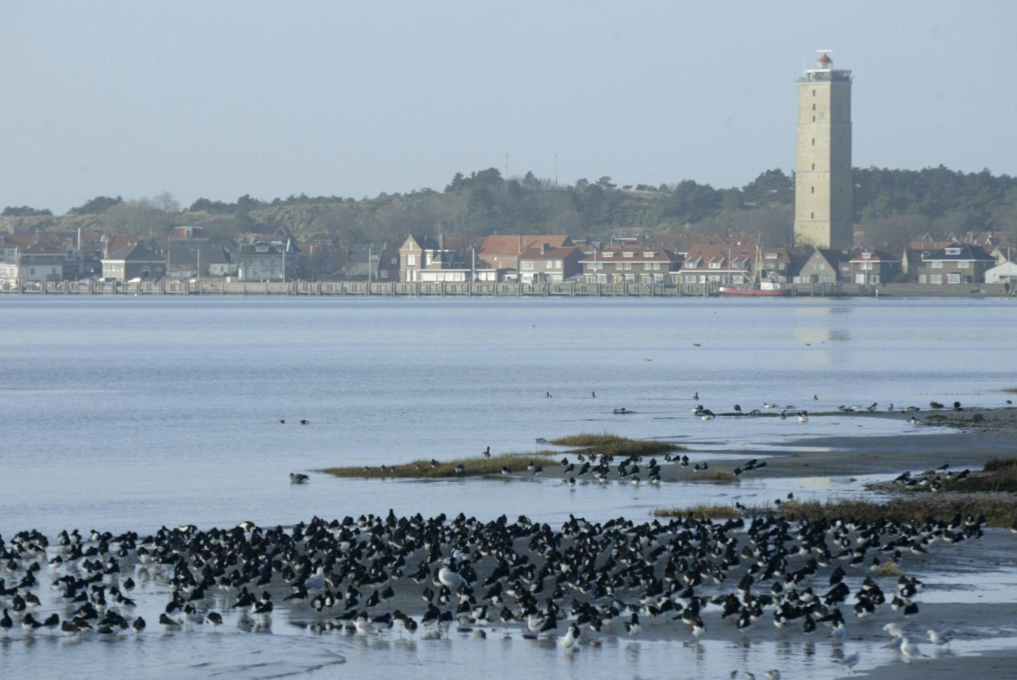 Stayokay Hostel Terschelling 西泰尔斯海灵 外观 照片